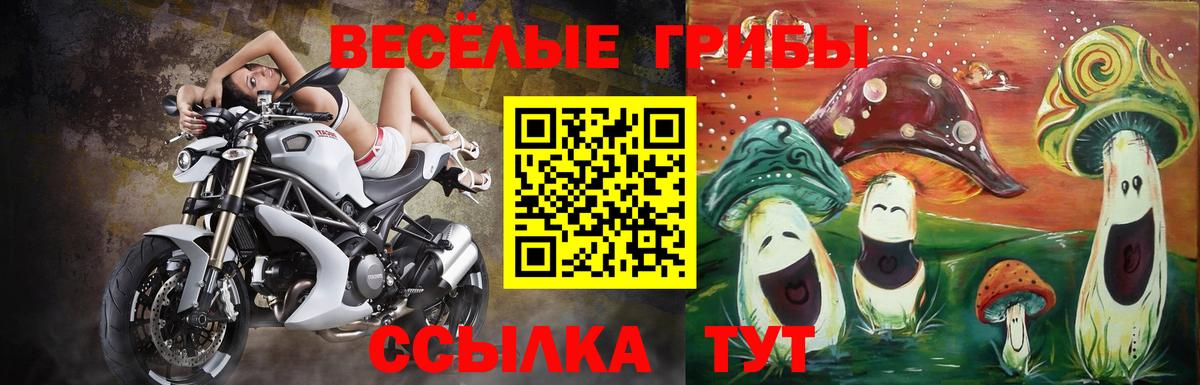 Галлюциногенные грибы Cubensis  Вход с VPN  Сертолово 